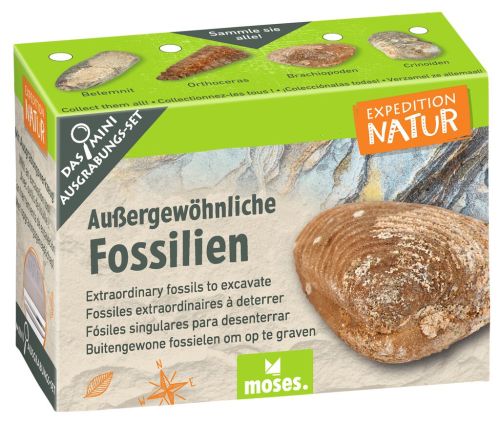 Expedition Natur Mini-Ausgrabungsset