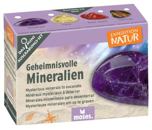 Expedition Natur Mini-Ausgrabungsset