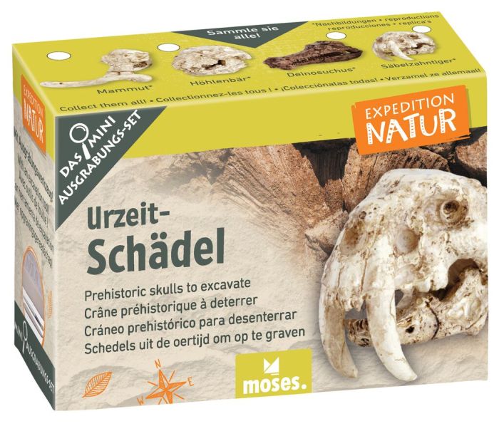 Expedition Natur Mini-Ausgrabungsset