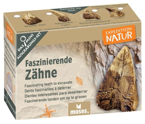 Expedition Natur Mini-Ausgrabungsset