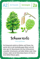 Expedition Natur Quartett Bäume