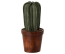 Blumentopf mit Kaktus