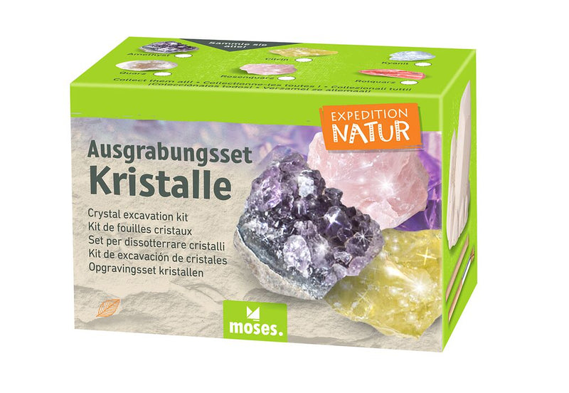 Expedition Natur Ausgrabungsset Kristall Amethyst