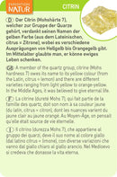 Expedition Natur Ausgrabungsset Kristall