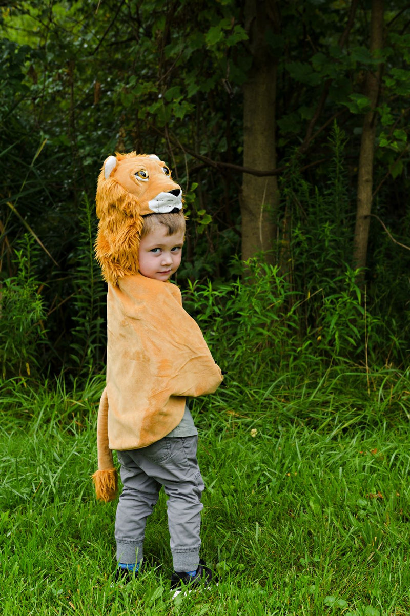 Storybook Lion Cape