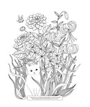 Luna – Ein Ausmalbuch