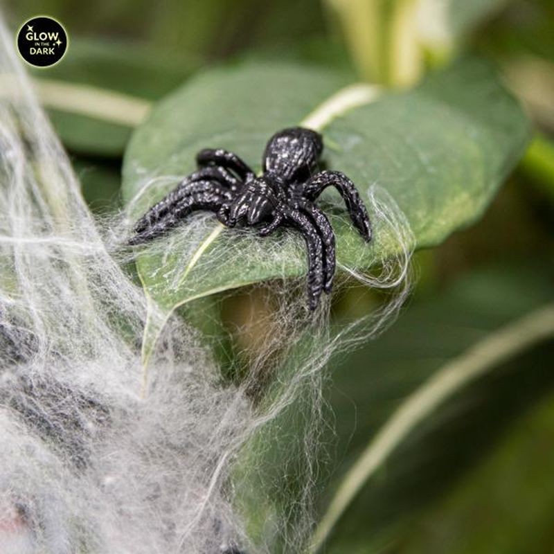 Rette sich...Klebrige Spinnen Tiere im Spinnennetz