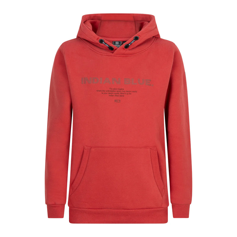 Hoodie IBJNS | Faded Red