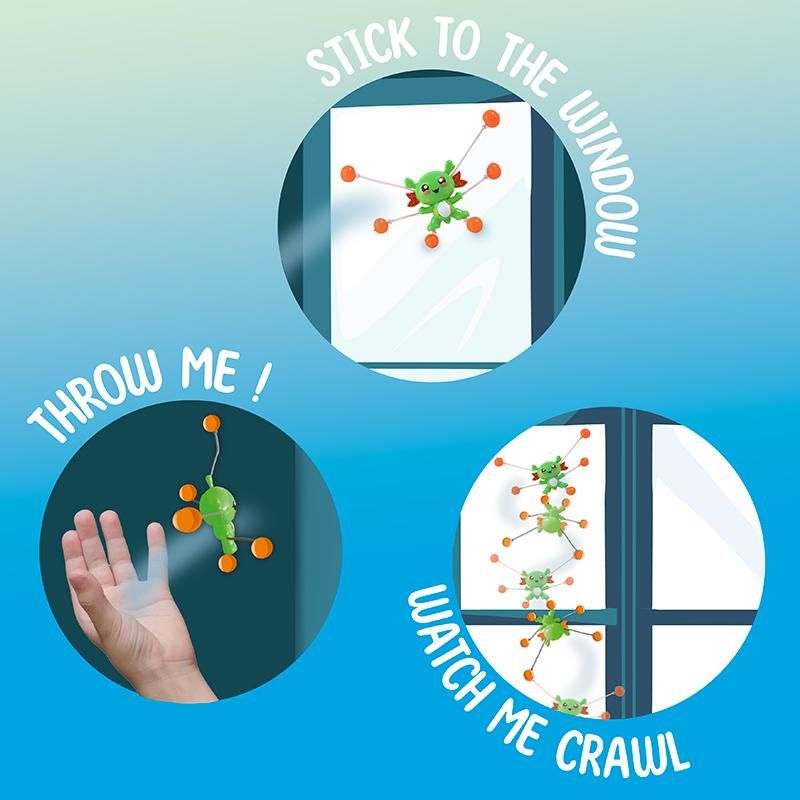 Fensterläufer Axolotl, 3-fach sortiert