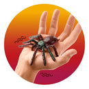 ZOO Grusel-Spinne Krabbeltiere Trendhaus