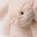 Bashful Blush Bunny Kuscheltier Jellycat