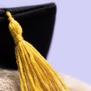 Bashful Bunny im Graduation-Outfit Kuscheltier Jellycat
