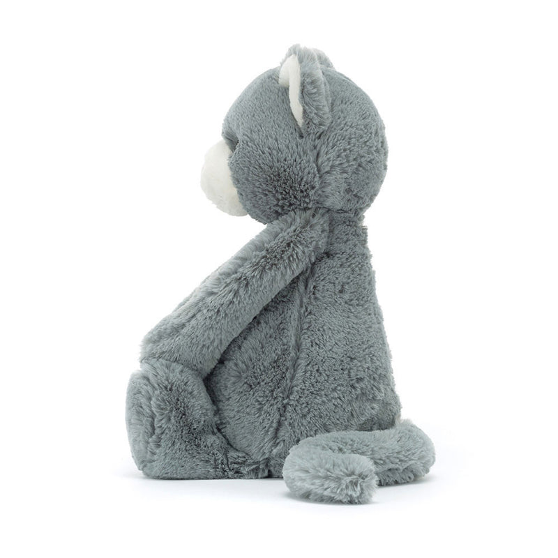 Bashful Kitten Katze