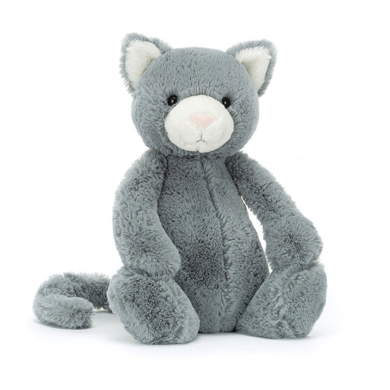 Bashful Kitten Katze