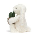Cream Bunny mit Pflanze Kuscheltier Jellycat