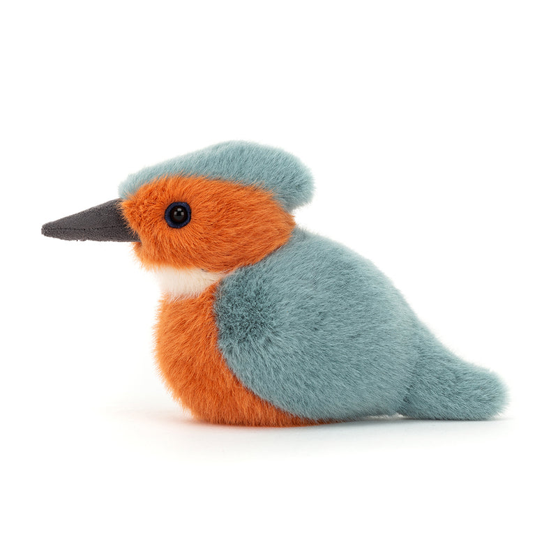 Birdling Kingfisher Eisvogel