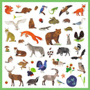 Sticker: Tierwelt Sticker Djeco
