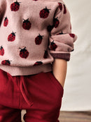 Lil' Atelier Strickpulli Lulio Misty Rose