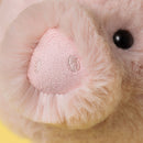 Smudge Pig Kuscheltier Jellycat