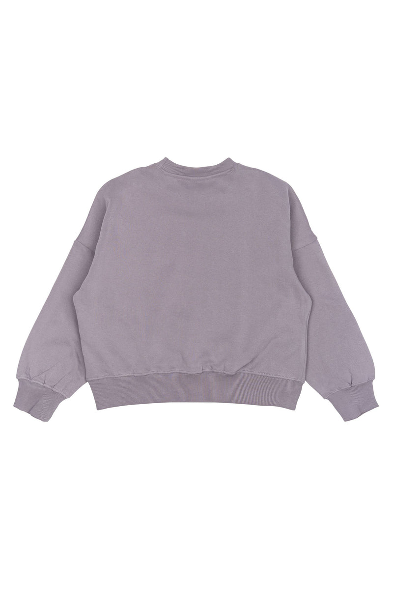 The New Sweatshirt Precious - Gray Ridge