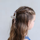 Haarklammer Gesprenkelter Regenbogen