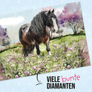 TapirElla Diamantbilder, Pferde 3 Tinker Bastelsets Mauder