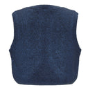 Le Big Weste Wren Prussian Blue