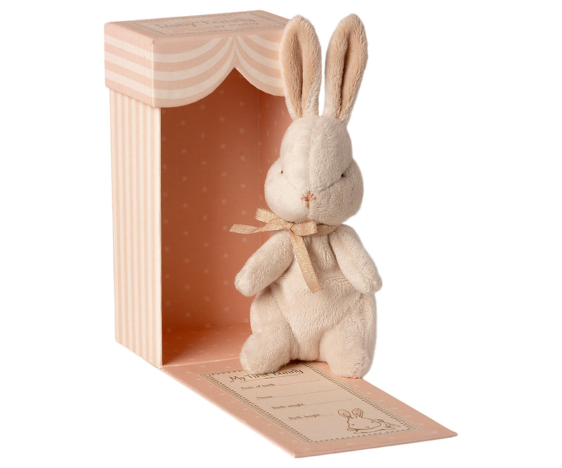 Mein erster Hase - Dusty rose