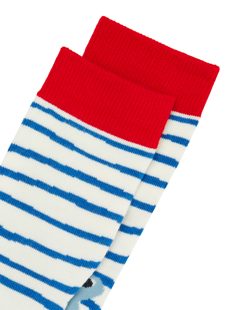 Socken Neat Feet- Shark Stripe