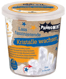 PhänoMINT Kristalle züchten