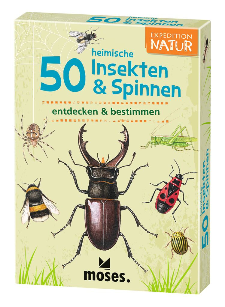 50 Karten in der Natur Insekten und Spinnen