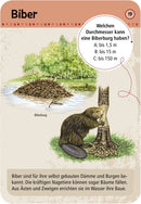 50 Karten Tierspuren