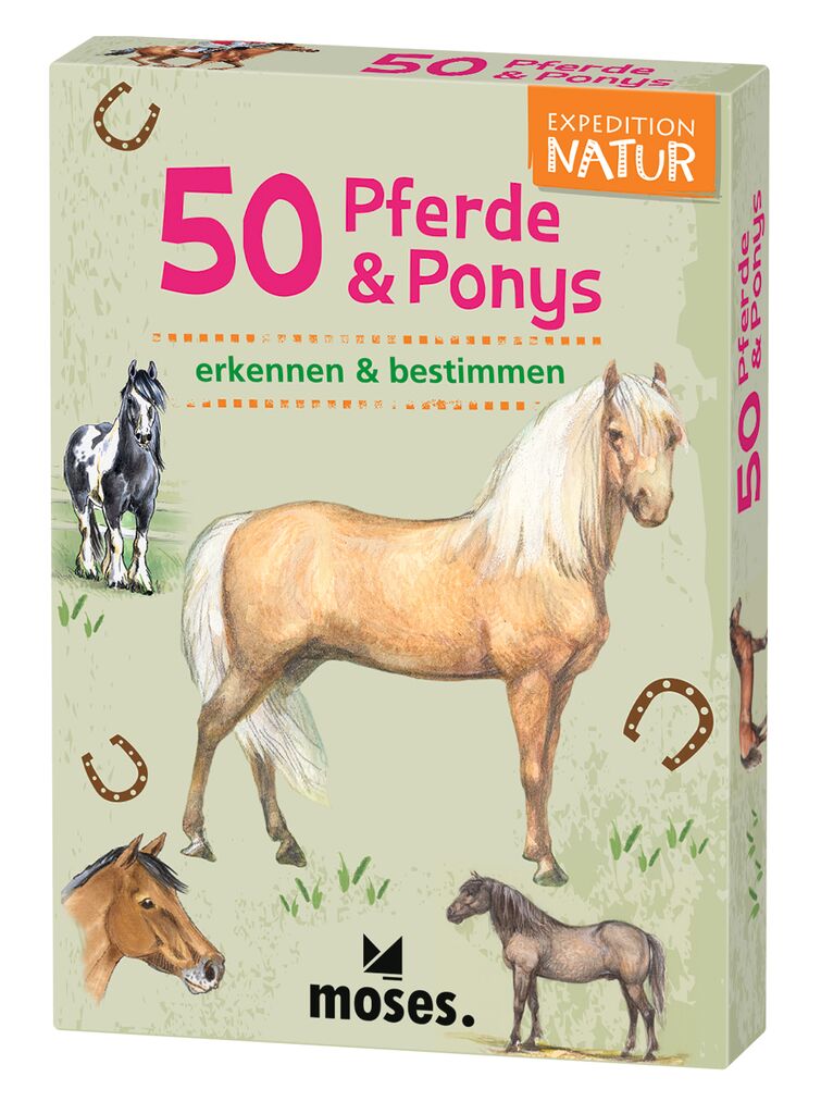 50 Karten über Pferde & Ponys