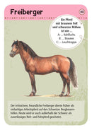 50 Karten über Pferde & Ponys In der Natur Moses
