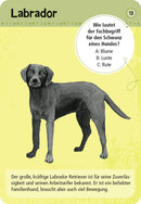 50 Karten über Haustiere