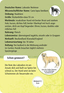 50 Karten über Haustiere