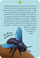 Moses 50 wundersame Tierrätsel Insekten