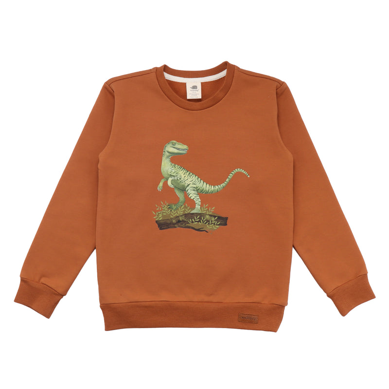 Walkiddy Sweatshirt Dinosaur Jungle