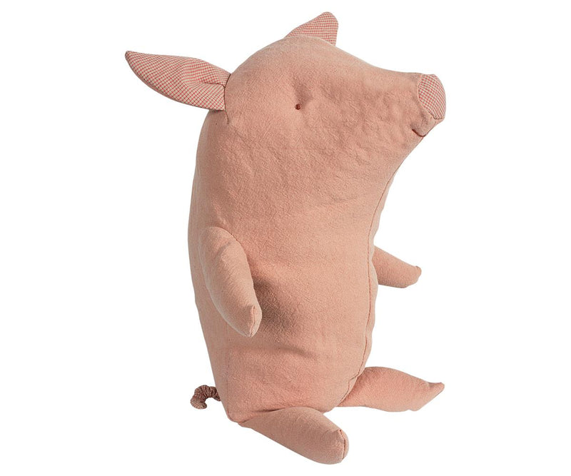 Truffle Pig